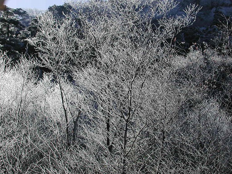 DSCN0628.jpg