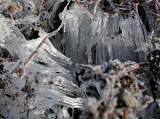 DSCN0602