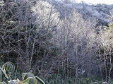 DSCN0626