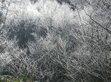 DSCN0627