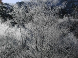 DSCN0628