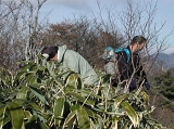 DSCN0647