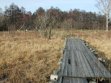 DSCN0654