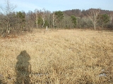 DSCN0655