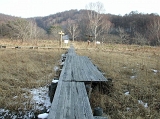 DSCN0656