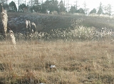 DSCN0659