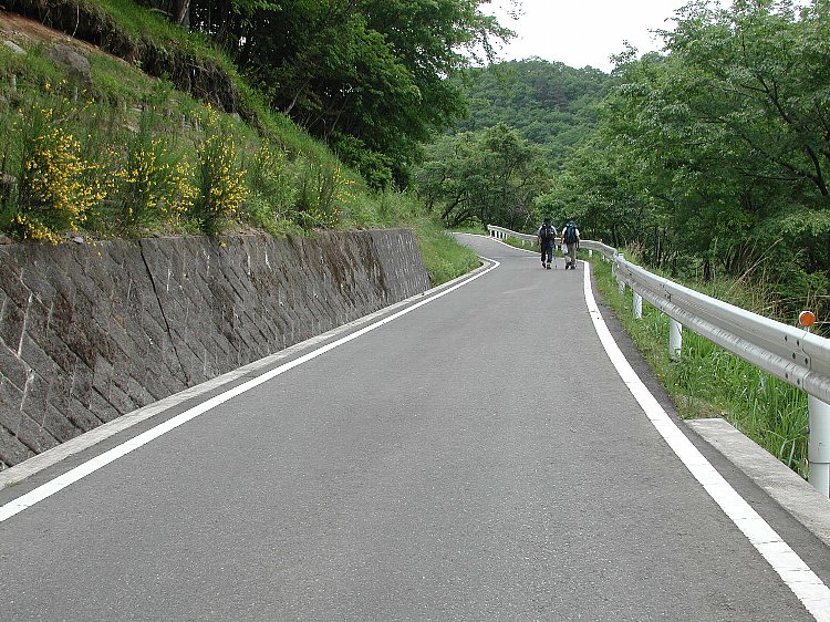 DSCN2404.jpg
