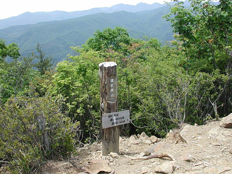 DSCN2455.jpg