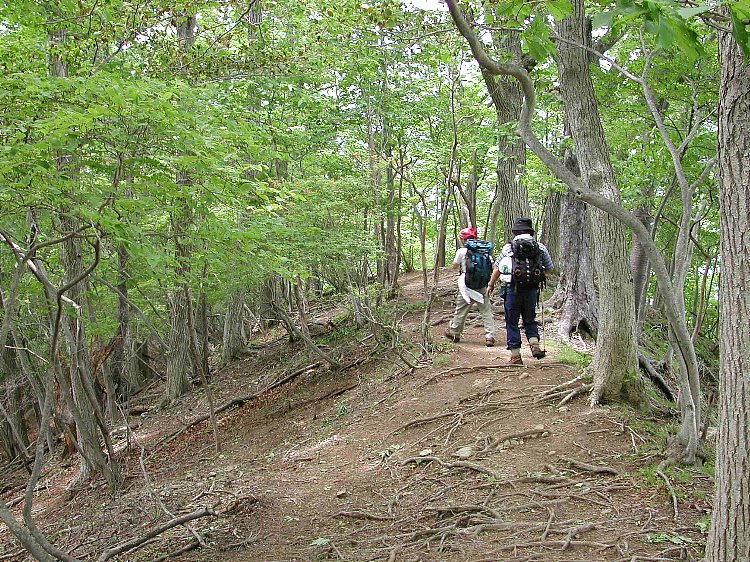 DSCN2469.jpg