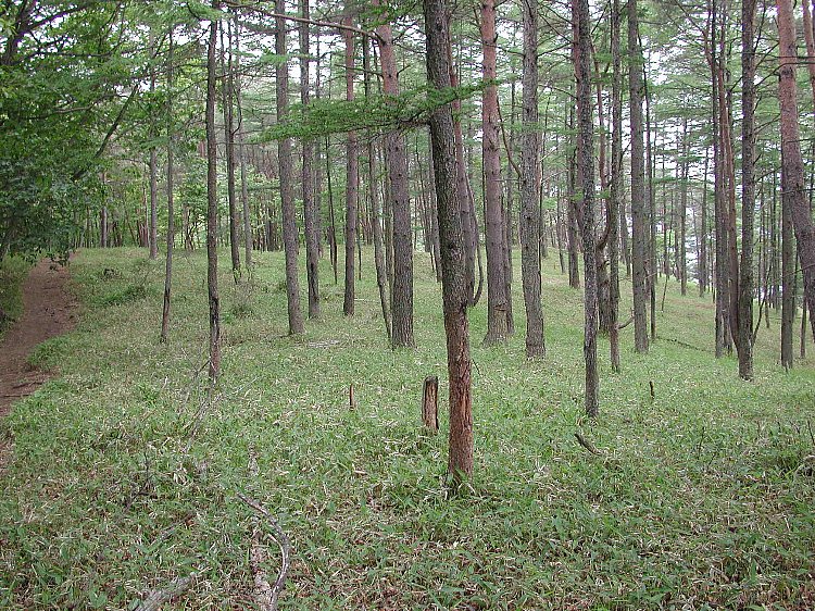 DSCN2477.jpg
