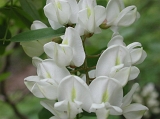 DSCN2382