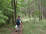 DSCN2431