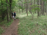 DSCN2432