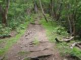 DSCN2435