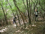 DSCN2446