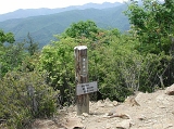 DSCN2455