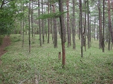 DSCN2477