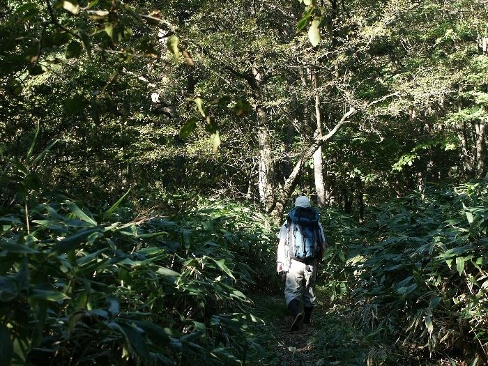 pict0045.jpg
