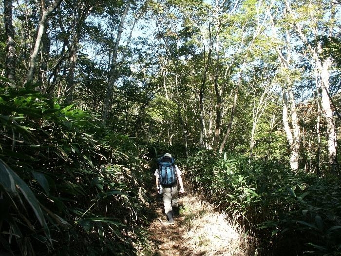 pict0047.jpg