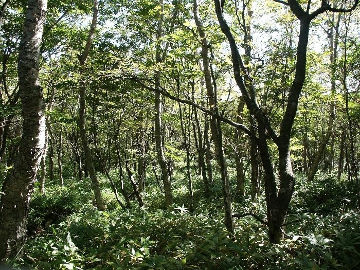 pict0060.jpg