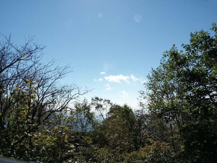 pict0067.jpg