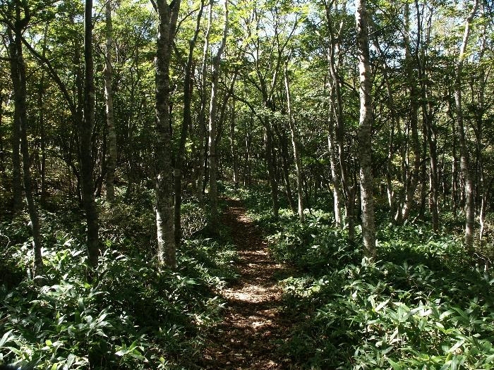 pict0075.jpg