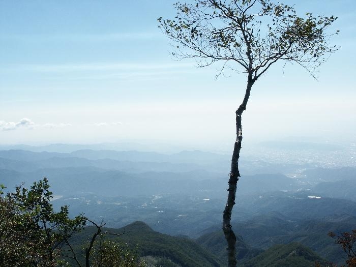 pict0081.jpg