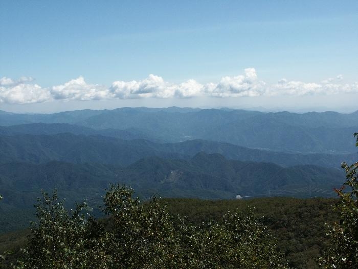 pict0093.jpg