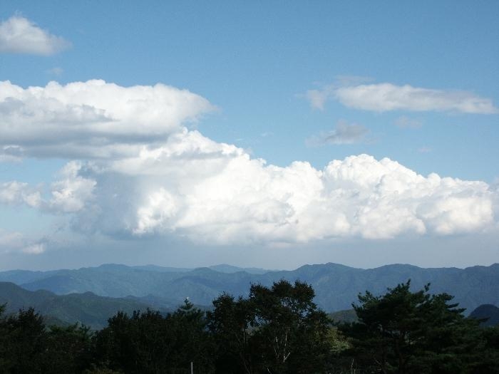pict0130.jpg