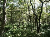 pict0060