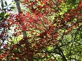 pict0061