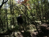 pict0062