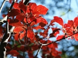 pict0063
