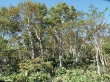 pict0079