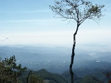 pict0081