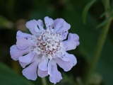 pict0098