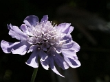pict0101