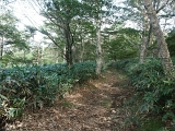 pict0124