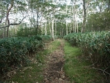 pict0125
