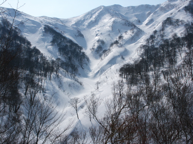 PICT1271.jpg