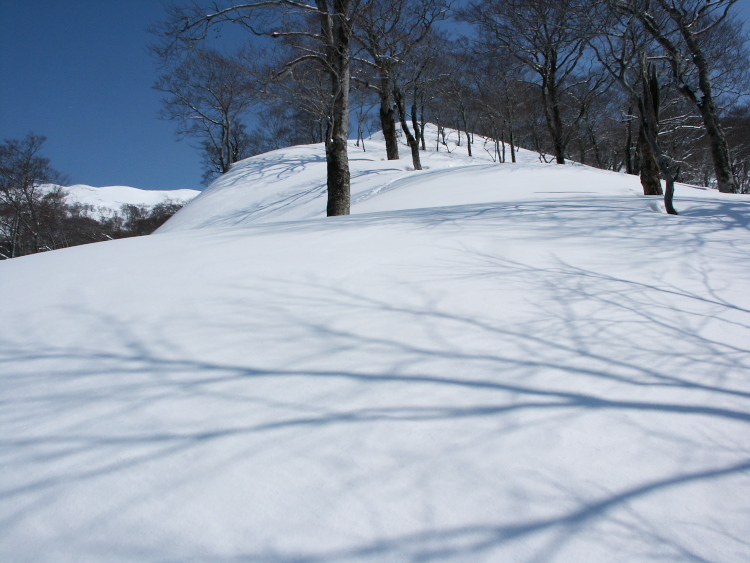 PICT1289.jpg