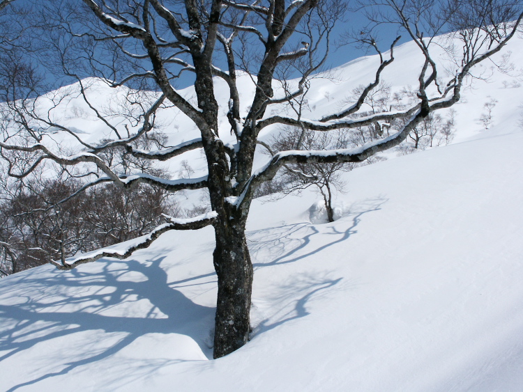 PICT1295.jpg