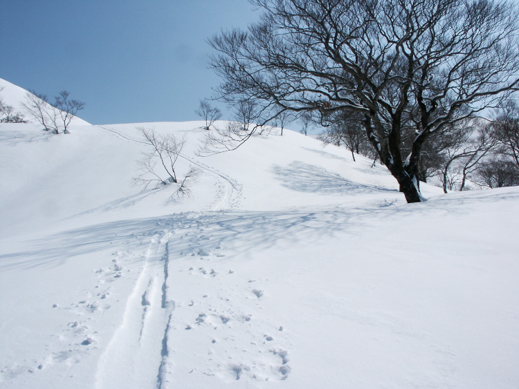 PICT1298.jpg