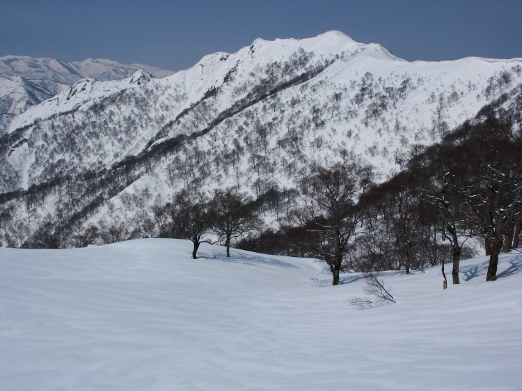 PICT1303.jpg