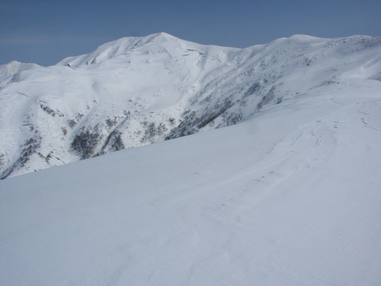 PICT1310.jpg