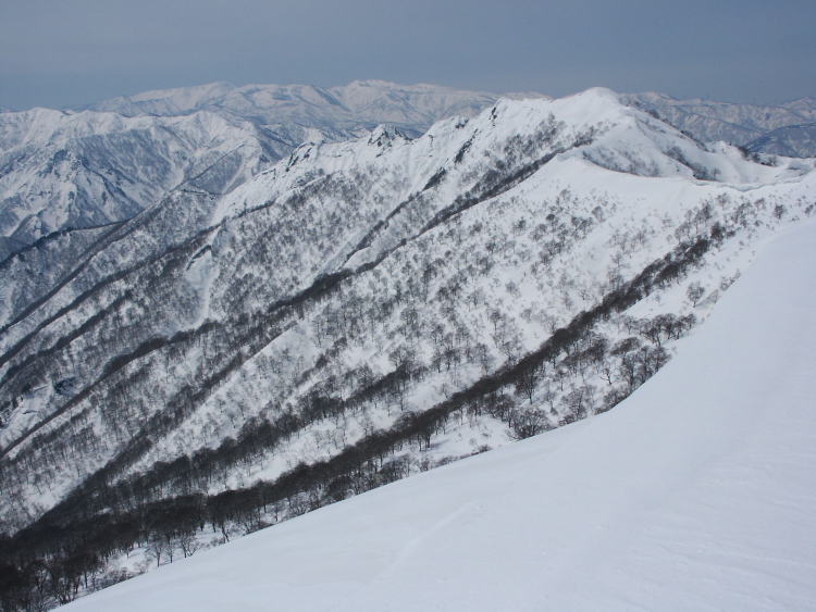 PICT1315.jpg