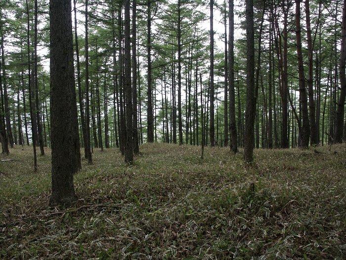 pict2007.jpg