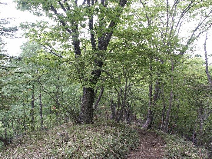 pict2022.jpg
