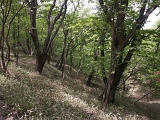 pict2001