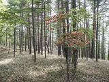 pict2011